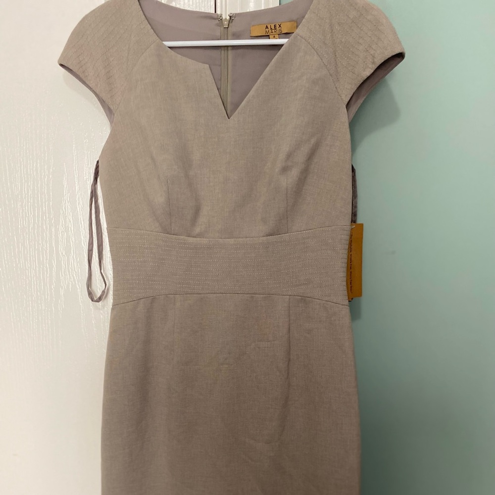 Alex Marie Chesnut Business Dress